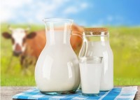 Производство и переработка молока