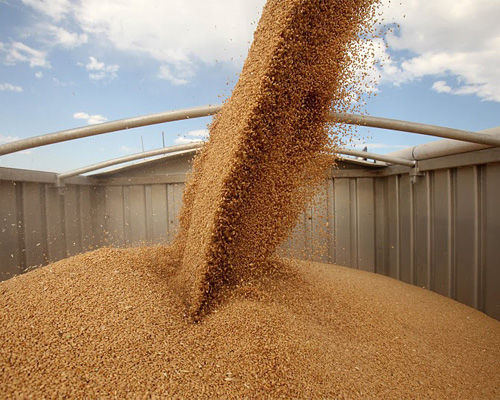 В России будут созданы правила торговли зерном