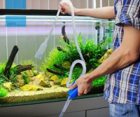 Обслуживание аквариумов приносит хороший доход